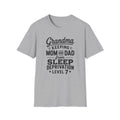 Grandma Keeping Mom and Dad from Sleep Deprivation Level 7 Funny Twin Parent T-Shirt