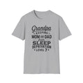 Grandpa Keeping Mom and Dad from Sleep Deprivation Level 7 Funny Twin T-Shirt