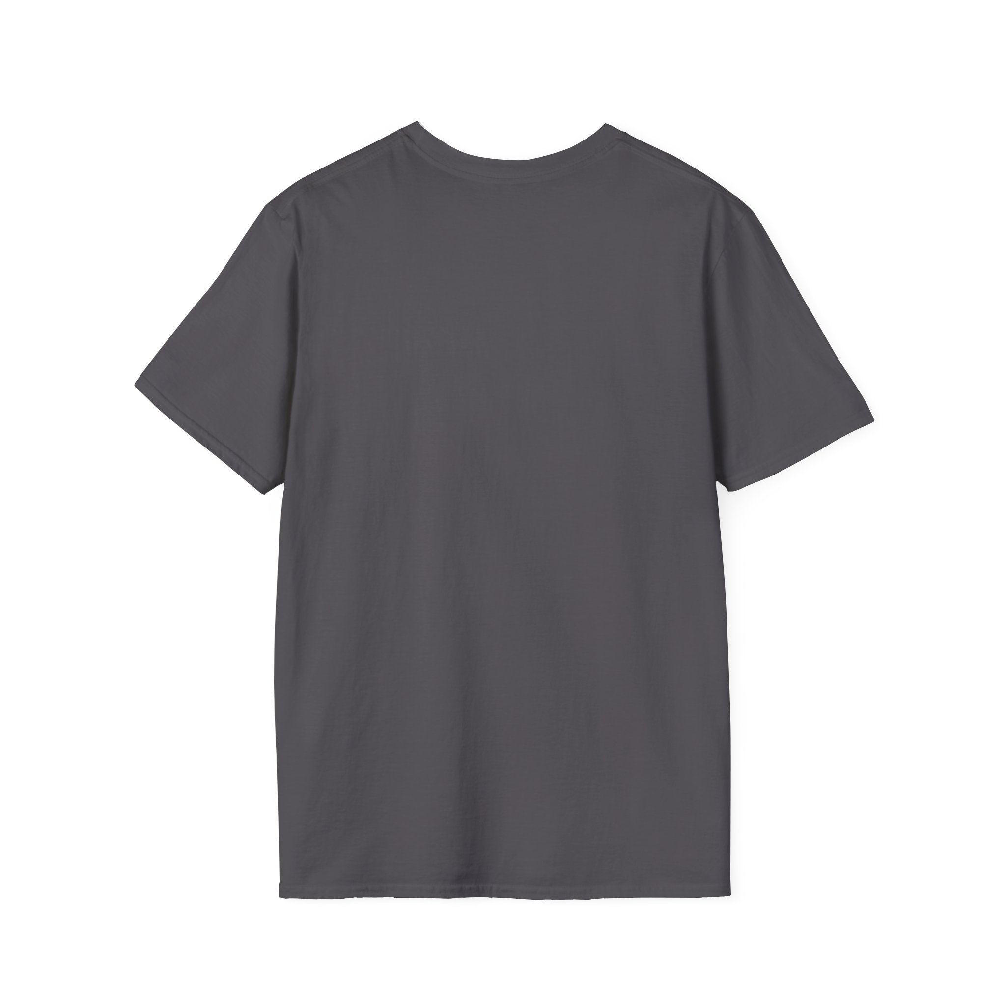 It Take a Village of Crazies to Raise the 2 Crazies T-Shirt